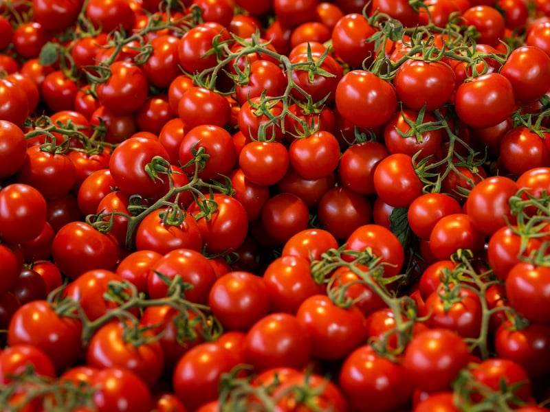 Cherry Tomatoes